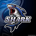 Команда "Shark"