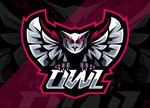 Команда "OWL"